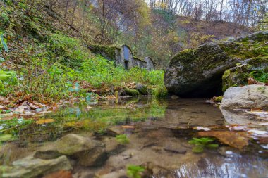 Sonbahar ormanındaki doğal su akıntısı. Metin veya harf için kopyalama alanı olan arkaplan