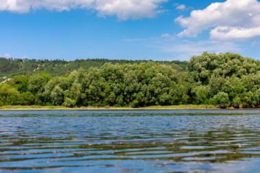 Nehir kıyısında. Metin veya harf için kopyalama alanı olan doğa arkaplanı.