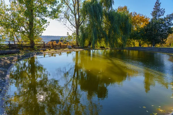 Kırsalda korunmuş eski bir gölet. Metin için kopyalama alanı olan yapay doğa arkaplanı