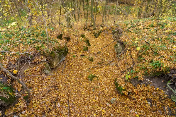 Горное Ущелье Каньон Осеннем Лесу Покрытом Опавшими Листьями Естественный Фон — стоковое фото