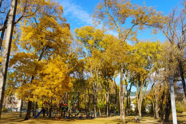 Altın sonbahar döneminde şehir parkı. Metin için kopyalama alanı olan arkaplan. İllüstrasyon başyazısı. 23 Ekim 2021 Balti Moldova.