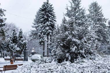 1 Şubat 2021 Balti veya Beltsy, Moldova 'da soğuk kış mevsimi. İllüstrasyon Editörü