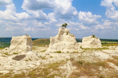 Vahşi doğadaki kireçtaşı dağı. Doğal taşla kaplı güzel bir manzara. Antik Sarmatya Denizi 'nin dibinde.