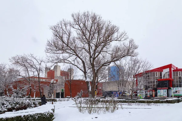 Febrero 2021 Balti Beltsy Moldova Invierno Frío Nevado Ciudad Editorial — Foto de Stock