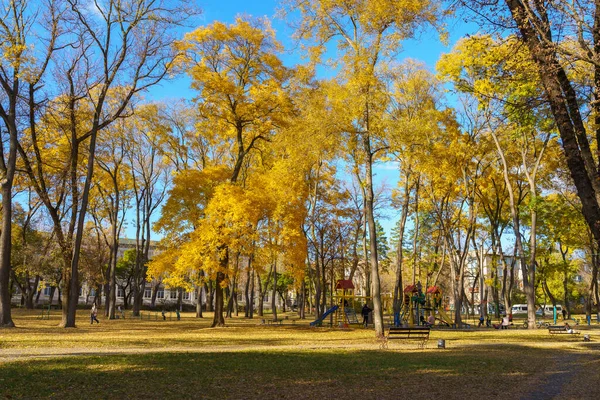 Parque Cidade Durante Outono Dourado Fundo Com Espaço Cópia Para — Fotografia de Stock