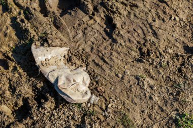 Şişeler doğada atılıyor. Plastik atıkla çevre kirliliği. Tehlikeli ve zehirli atık. Gezegenin ekolojik felaketi. İklim değişikliğinin nedenleri. Metin için kopyalama alanı olan arkaplan