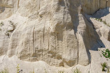 Vahşi doğada kireçtaşı. Doğal taşla kaplı güzel bir manzara. Antik Sarmatya Denizi 'nin dibinde.