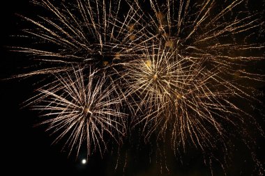 Kara gökyüzüne karşı çok güzel havai fişekler. Metin ve yazıtlar için kopyalama alanı var. Tasarım için grafik bir kaynak. Tasarımcı için boş. Altını çiz ya da altını.