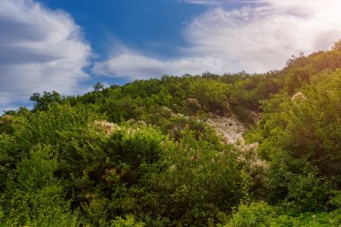 Doğu Avrupa 'nın dağlık doğası. Metin veya yazıtlar için kopyalama alanı olan arkaplan