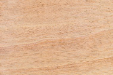 Afrika 'daki bir ağacın açık dokulu kesik yüzeyi. Ahşap zemin ya da tasarım için boş. Metin veya etiketler için bir grafik kaynağı ya da altında yatan.