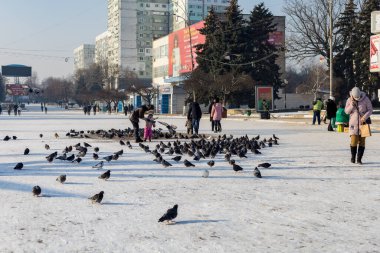 19 Ocak 2021 Balti veya Beltsy, Moldova 'nın soğuk kışı. İllüstrasyon Editörü