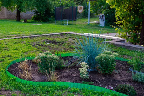 Şehrin kentsel ortamında çok güzel bir çiçek tarhı. Manzara tasarımında çiçekler ve yeşillik. Metin veya yazıtlar için kopyalama alanı olan arkaplan.