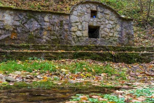 春や秋の森の自然の中で飲料水の源 テキストやレタリングのためのコピースペースを持つ背景 — ストック写真