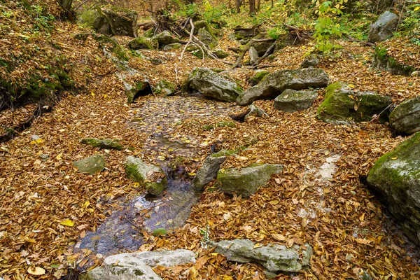 Cours Eau Dans Gorge Forêt Automne Dans Nature Arrière Plan — Photo