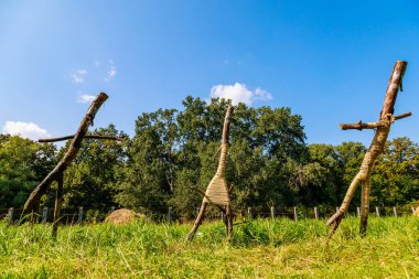 Dallardan soyut erkek figürleri. Sembolik insanlar. Kırsal batıl inançlar ve kehanetler. Metin için kopyalama alanı olan arkaplan