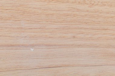 Afrika 'daki bir ağacın açık dokulu kesik yüzeyi. Ahşap zemin ya da tasarım için boş. Metin veya etiketler için bir grafik kaynağı ya da altında yatan.