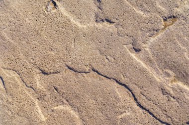 Dekoratif alçı. Sert desenli yüzey. Tasarım için boş veya grafik kaynak arkaplanı.