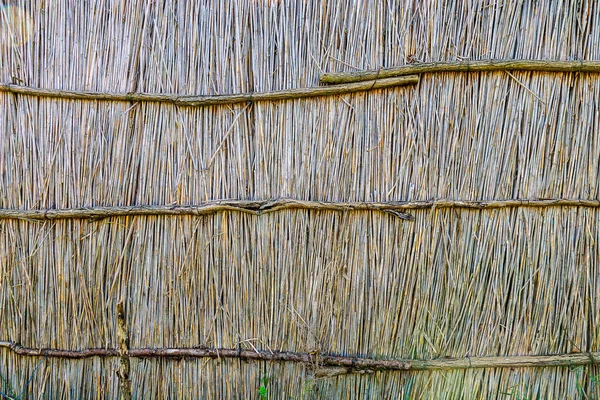 Rustic Dry Reed Fence Textured Background Natural Backdrop Eco Tourism — Stockfoto