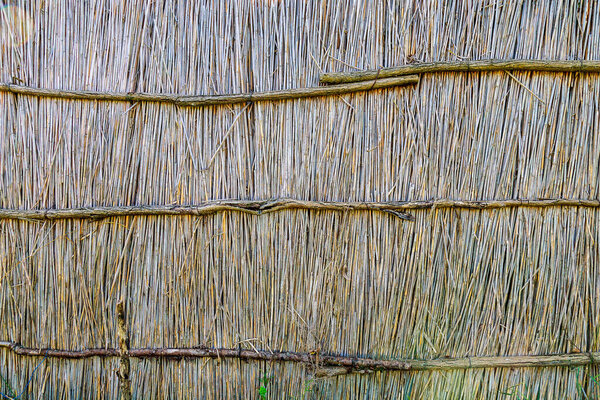 Rustic dry reed fence. Textured background or natural backdrop. Eco tourism concept. Graphic resource for design