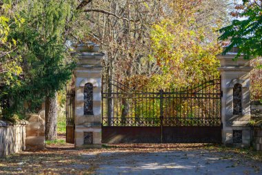 Tipik tarihi bir malikanenin eski klasik kapısı. Metin veya harf için kopyalama alanı olan arkaplan
