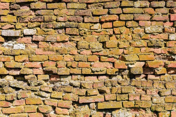 Rough Textured Surface Old Curved Brickwork Wall Background Graphic Resource — 图库照片