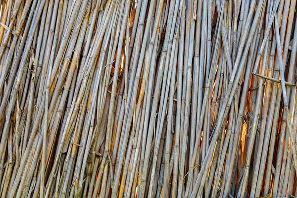 Rustic Dry Reed Fence Textured Background Natural Backdrop Eco Tourism — Stock Fotó