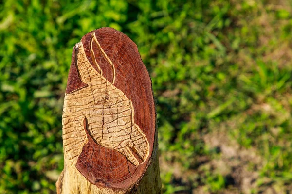 Abstrakt Åsna Huvud Ranch Corral Post Träsnideri Populär Hobby Kulturen — Stockfoto