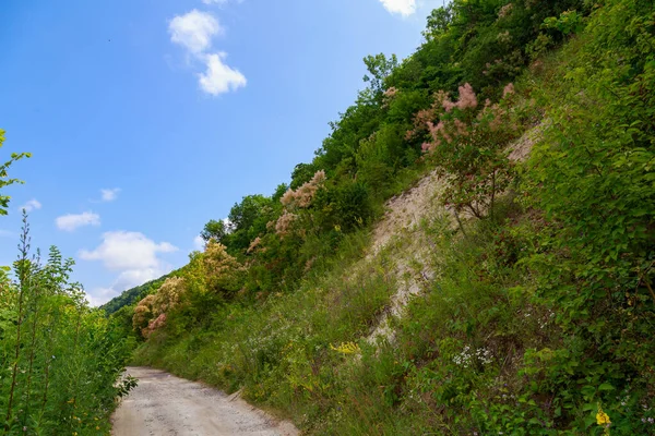 Köy yolu. Metin veya yazıtlar için kopyalama alanı olan arkaplan.