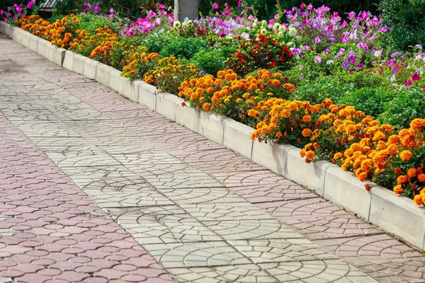 Mycket Vacker Blomstersäng Stadsmiljö Staden Blommor Och Grönska Landskapsdesign Bakgrund — Stockfoto