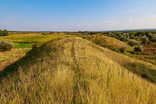 Natura Collinare Dell Europa Orientale Sfondo Con Spazio Copia Testo — Foto Stock