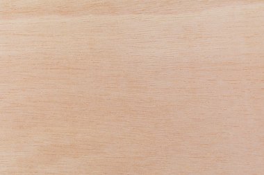 Afrika 'daki bir ağacın açık dokulu kesik yüzeyi. Ahşap zemin ya da tasarım için boş. Metin veya etiketler için bir grafik kaynağı ya da altında yatan.