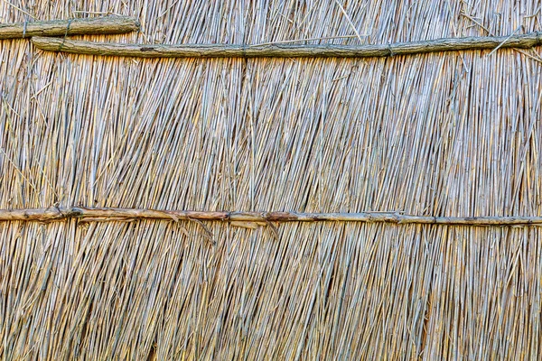 Rustic Dry Reed Fence Textured Background Natural Backdrop Eco Tourism — Stock Fotó