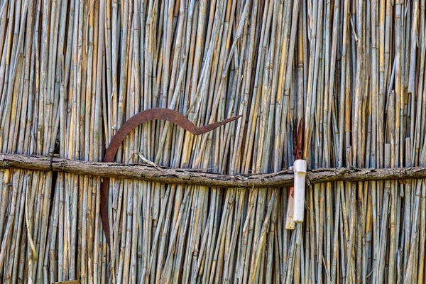 Rusty Sickle Pruning Shears Rustic Reed Fence Eco Tourism Concept — Fotografia de Stock