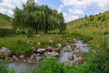 Dağ nehri ya da vadideki taşlı akarsu. Metin veya harf için kopyalama alanı olan doğa arkaplanı.
