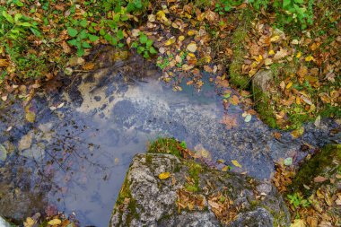 Sonbahar ormanındaki dağ deresi. Metin veya yazıtlar için kopyalama alanı olan arkaplan.