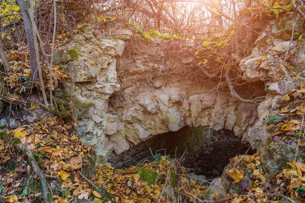 Abandoned Entrance Dungeon Basement Background Copy Space Text — ストック写真