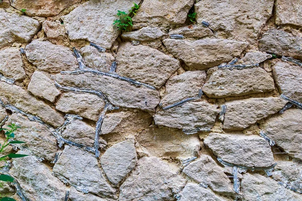 野生の石の壁 ラフな質感の表面 空白の背景またはデザインのグラフィックリソース — ストック写真
