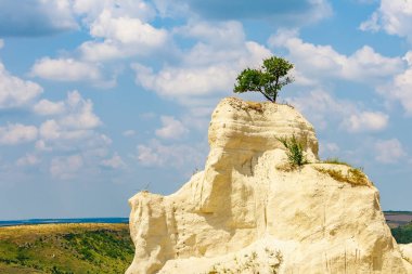 Vahşi doğadaki kireçtaşı dağı. Doğal taşla kaplı güzel bir manzara. Antik Sarmatya Denizi 'nin dibinde.