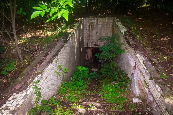 Вход Секретный Замаскированный Военный Бункер Заброшенное Бомбоубежище Фон — стоковое фото