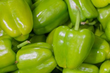 Çiftlik organik yeşil dolma biber. Perakende markette doğal vitaminler. Metin için kopyalama alanı olan seçici odak.