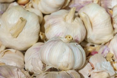 Çiftlik organik sarımsak. Perakende markette doğal vitaminler. Metin için kopyalama alanı olan seçici odak.