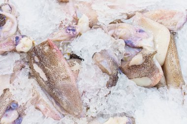 Deniz ürünleri bölümü. Perakende markette doğal vitaminler. Metin için kopyalama alanı olan seçici odak.