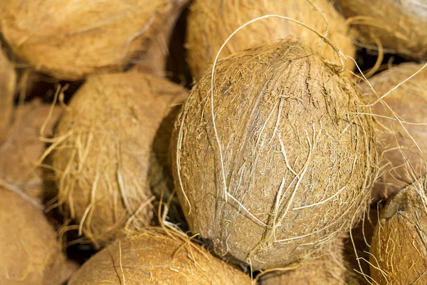 Coco Orgânico Agrícola Vitaminas Naturais Supermercado Varejo Foco Seletivo Com — Fotografia de Stock