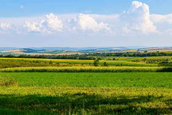 Die Hügelige Natur Osteuropas Mit Fruchtbaren Böden Für Die Landwirtschaft — Stockfoto