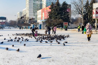 19 Ocak 2021 Balti veya Beltsy, Moldova 'nın soğuk kışı. İllüstrasyon Editörü