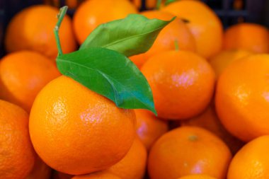 Organik mandalina. Perakende markette doğal vitaminler. Metin için kopyalama alanı olan seçici odak.