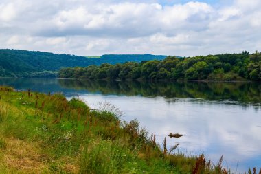 Geniş nehir. Metin veya harfler için kopya alanı olan Doğu Avrupa arka planı. Balık tutmak ve rafting yapmak için ideal. Bir turistin gözlerinden bak.