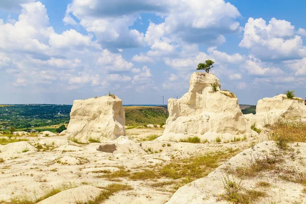 Vahşi doğadaki kireçtaşı dağı. Doğal taşla kaplı güzel bir manzara. Antik Sarmatya Denizi 'nin dibinde.