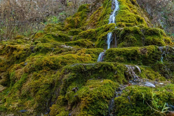 Природный Источник Минеральной Питьевой Водой Дикой Природе Камнями Заросшими Мхом — стоковое фото