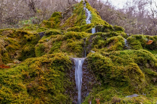 大自然的春天 矿泉水在野外饮用 石头长满苔藓 带有文本复制空间的背景或背景 — 图库照片